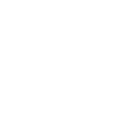 security icon