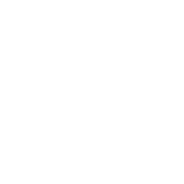 Maple Leaf Icon